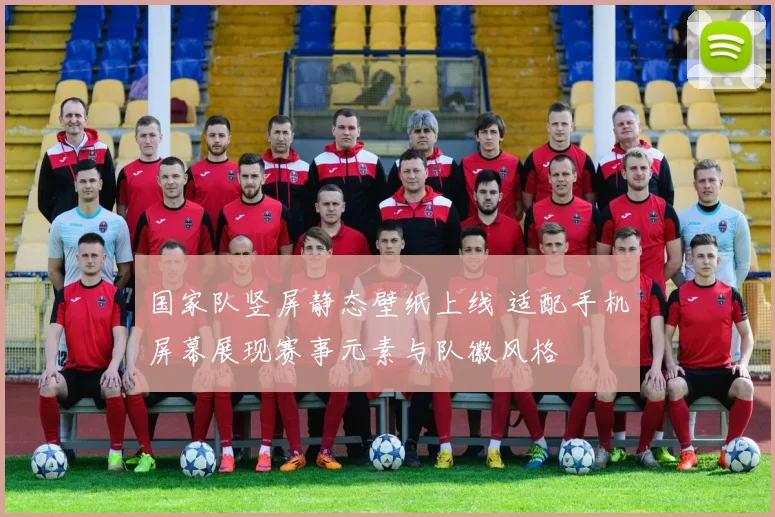 国家队竖屏静态壁纸上线 适配手机屏幕展现赛事元素与队徽风格