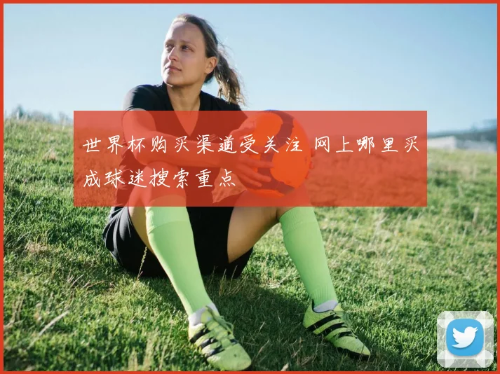 世界杯购买渠道受关注 网上哪里买成球迷搜索重点