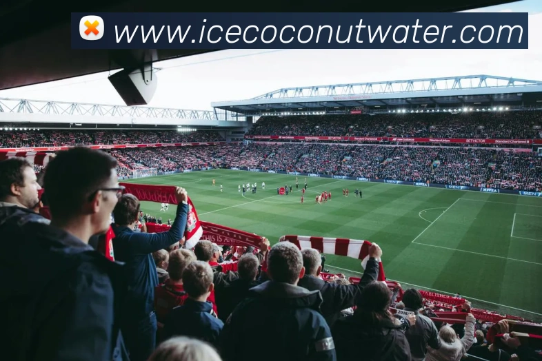 kaiyun网页登录入口品牌故事