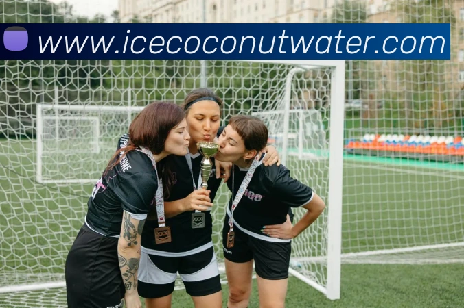 kaiyun网页登录入口服务体系